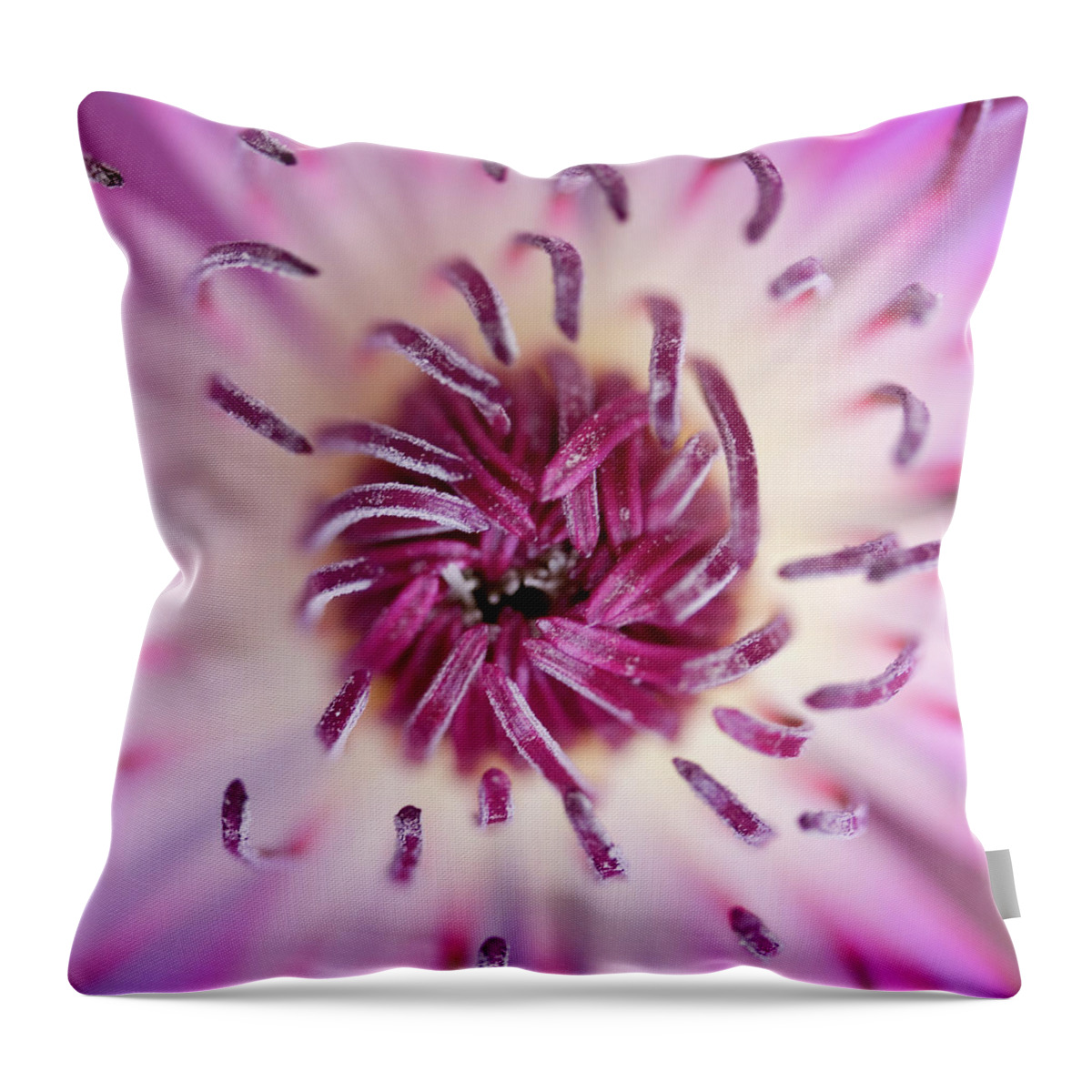 Amaryllis Throw Pillow featuring the photograph Amaryllis by Nigel R Bell