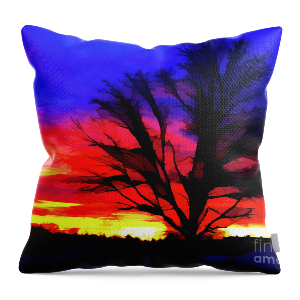 Sunrise Throw Pillow featuring the photograph Amaze Blaze and Mystify by Xine Segalas