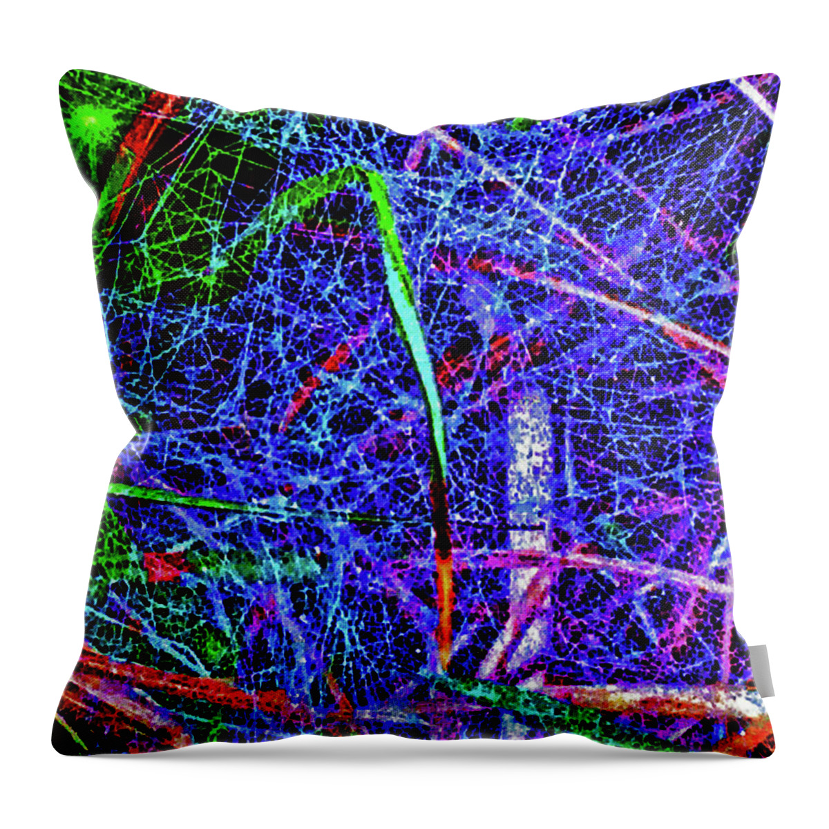 Web Throw Pillow featuring the photograph Amazing Invisible Web by Gina O'Brien