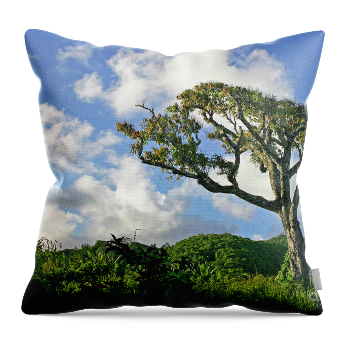 Cook Islands Throw Pillow featuring the photograph Ambala Tree by Becqi Sherman