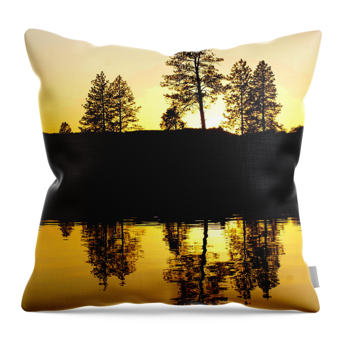 Nature Throw Pillow featuring the photograph Amber Sunset by Ben Upham III