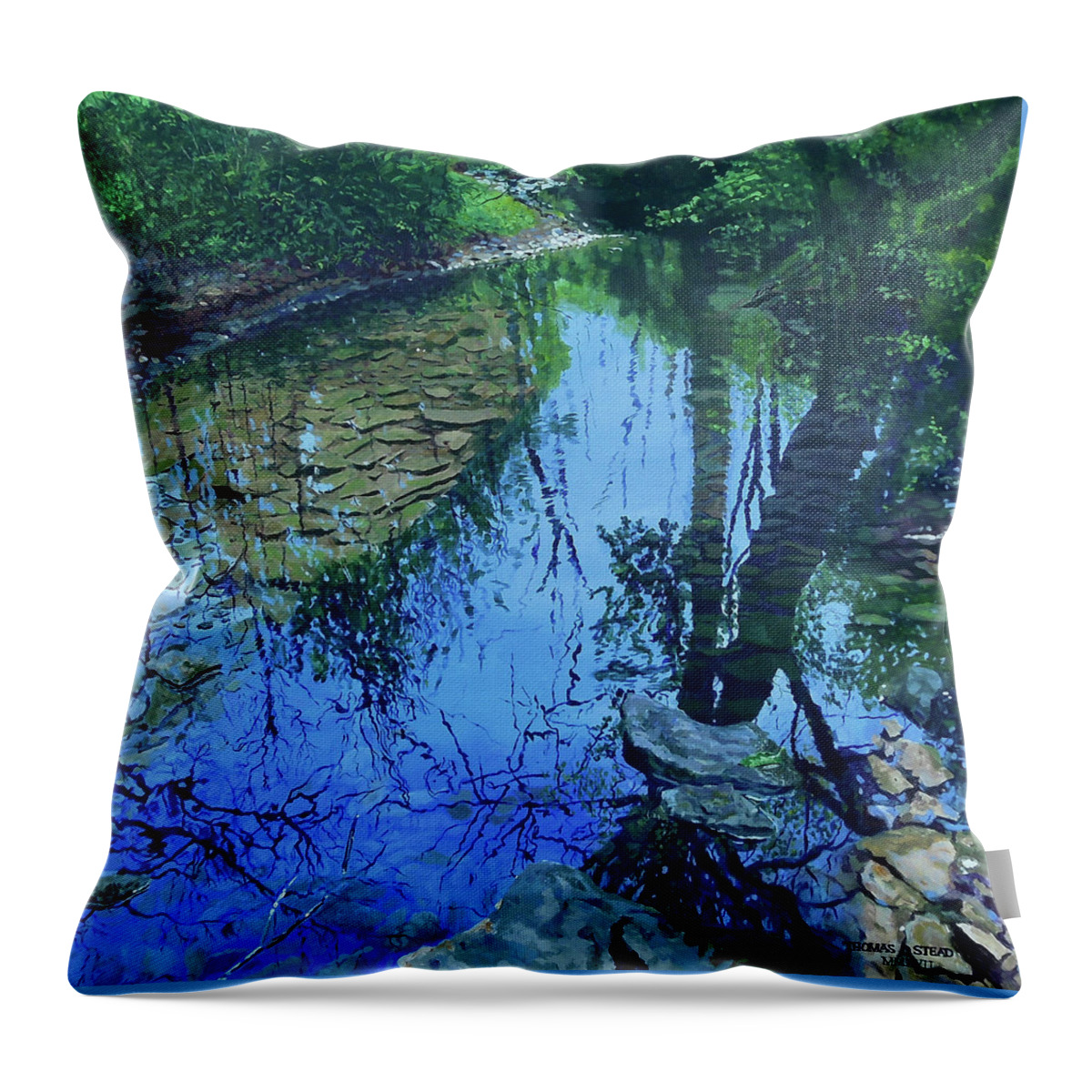 Reflections Throw Pillow featuring the painting Amberly Creek by Thomas Stead