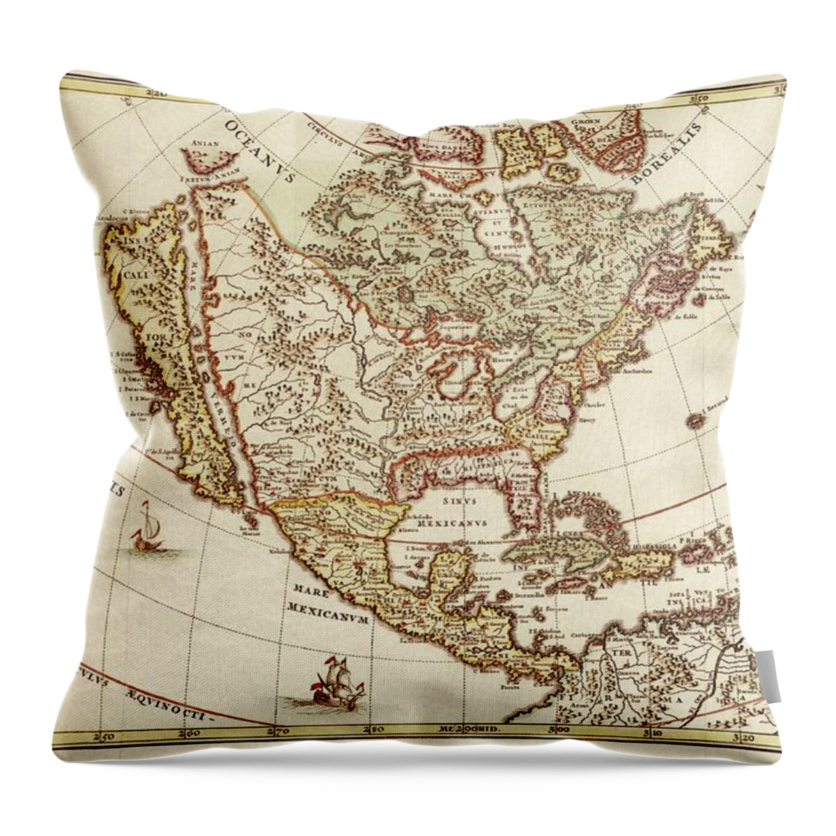Americas Throw Pillow featuring the photograph America Borealis 1699 by Leah McPhail
