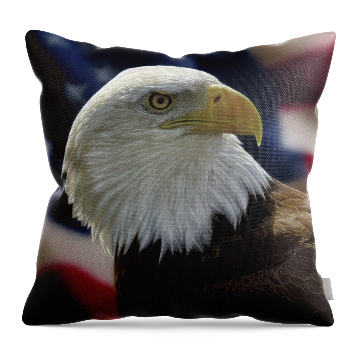 Bald Eagle Painting Throw Pillow featuring the painting American Bald Eagle by Collin Bogle