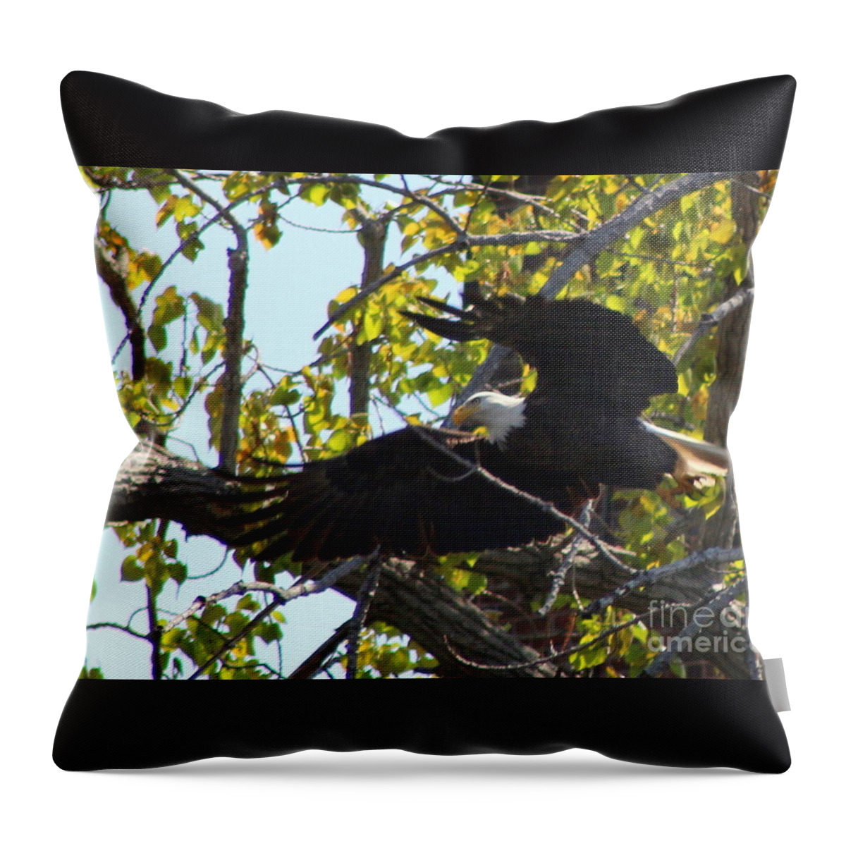 Flying Eagles Throw Pillow featuring the photograph American Bald Eagle Starting Flight  by Neal Eslinger