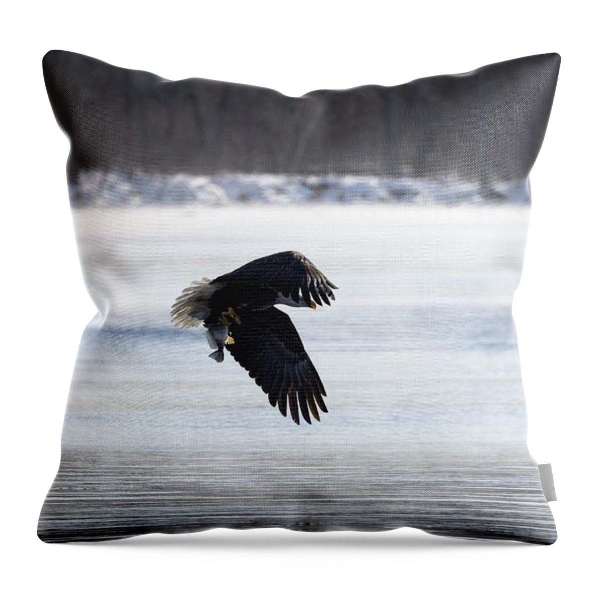 American Bald Eagle Throw Pillow featuring the photograph American Bald Eagle With A Fish 2016-1 by Thomas Young
