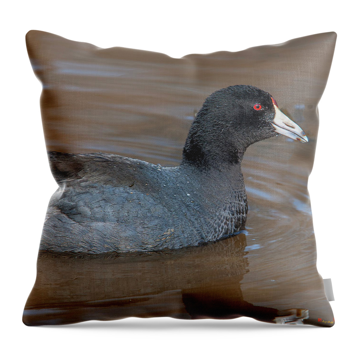 Nature Throw Pillow featuring the photograph American Coot DMSB0138 by Gerry Gantt