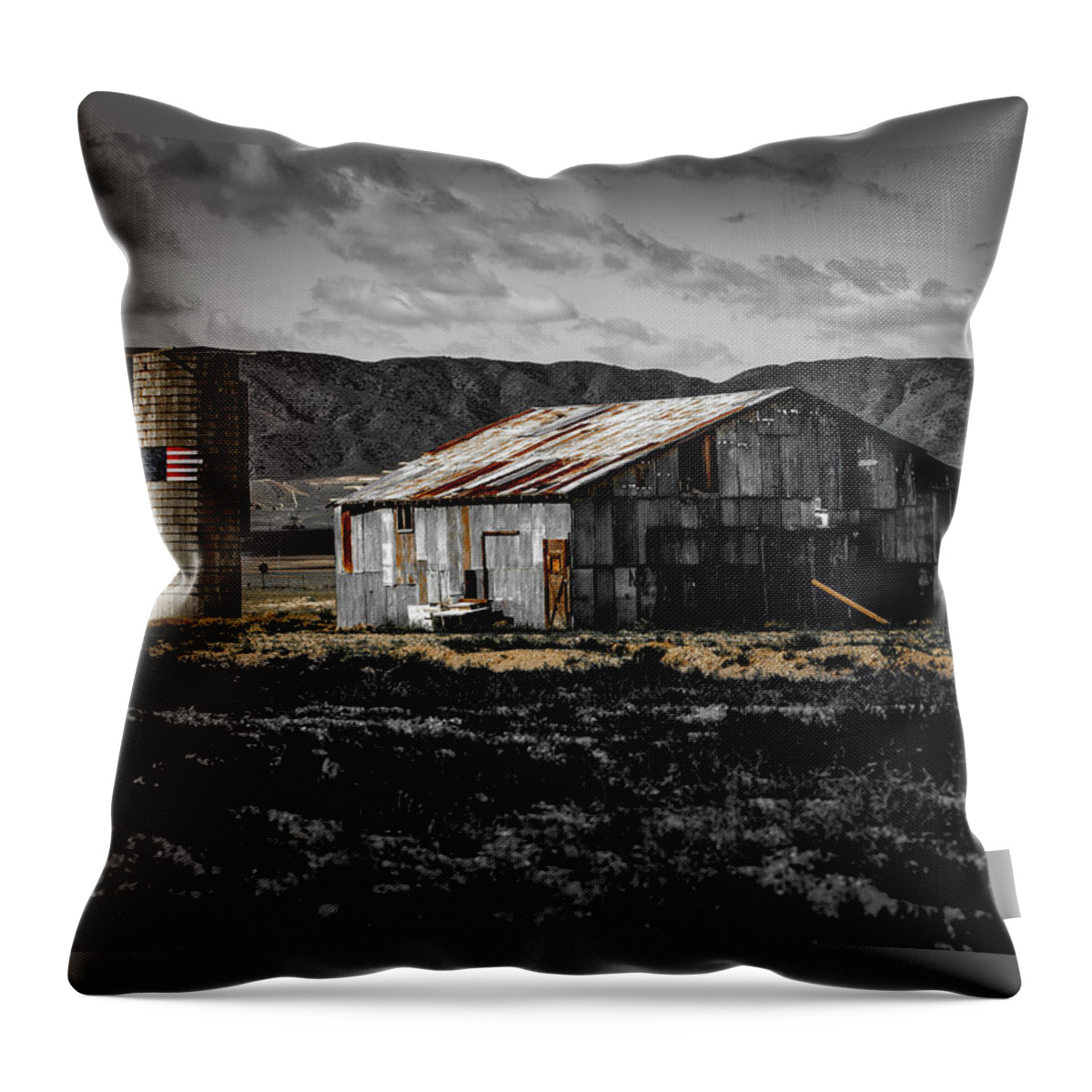 Barn Throw Pillow featuring the photograph American Cylo - Lancaster, California by Gene Parks