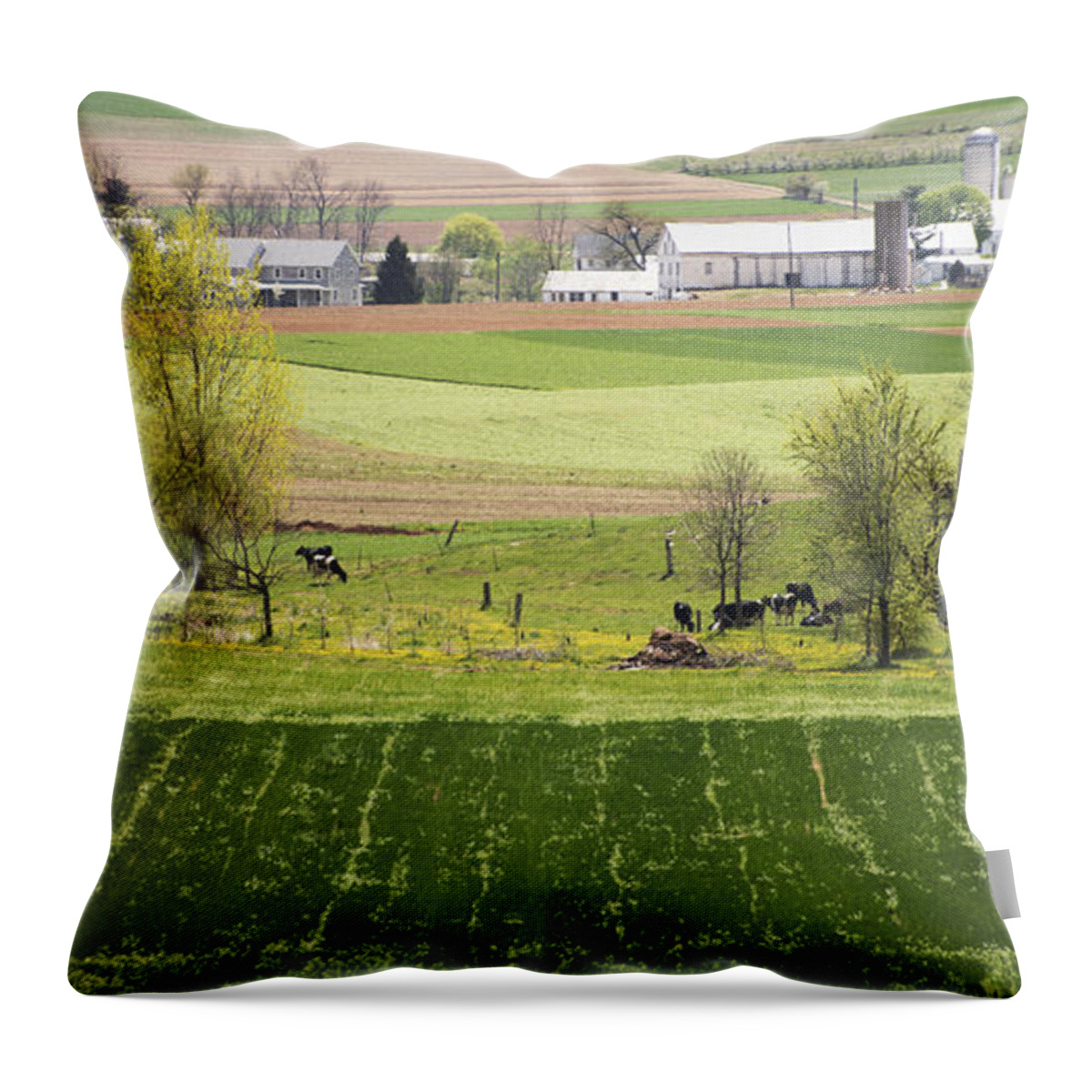 Landscape Throw Pillow featuring the photograph American Farmland by Paul Ross