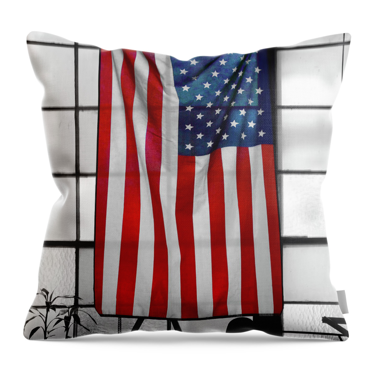 American Flag Throw Pillow featuring the photograph American Flag in the Window by Mike McGlothlen