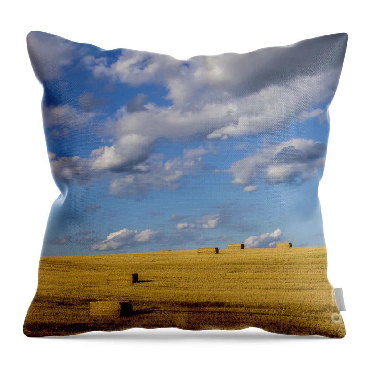 Country Throw Pillow featuring the photograph American Gold by Joann Long