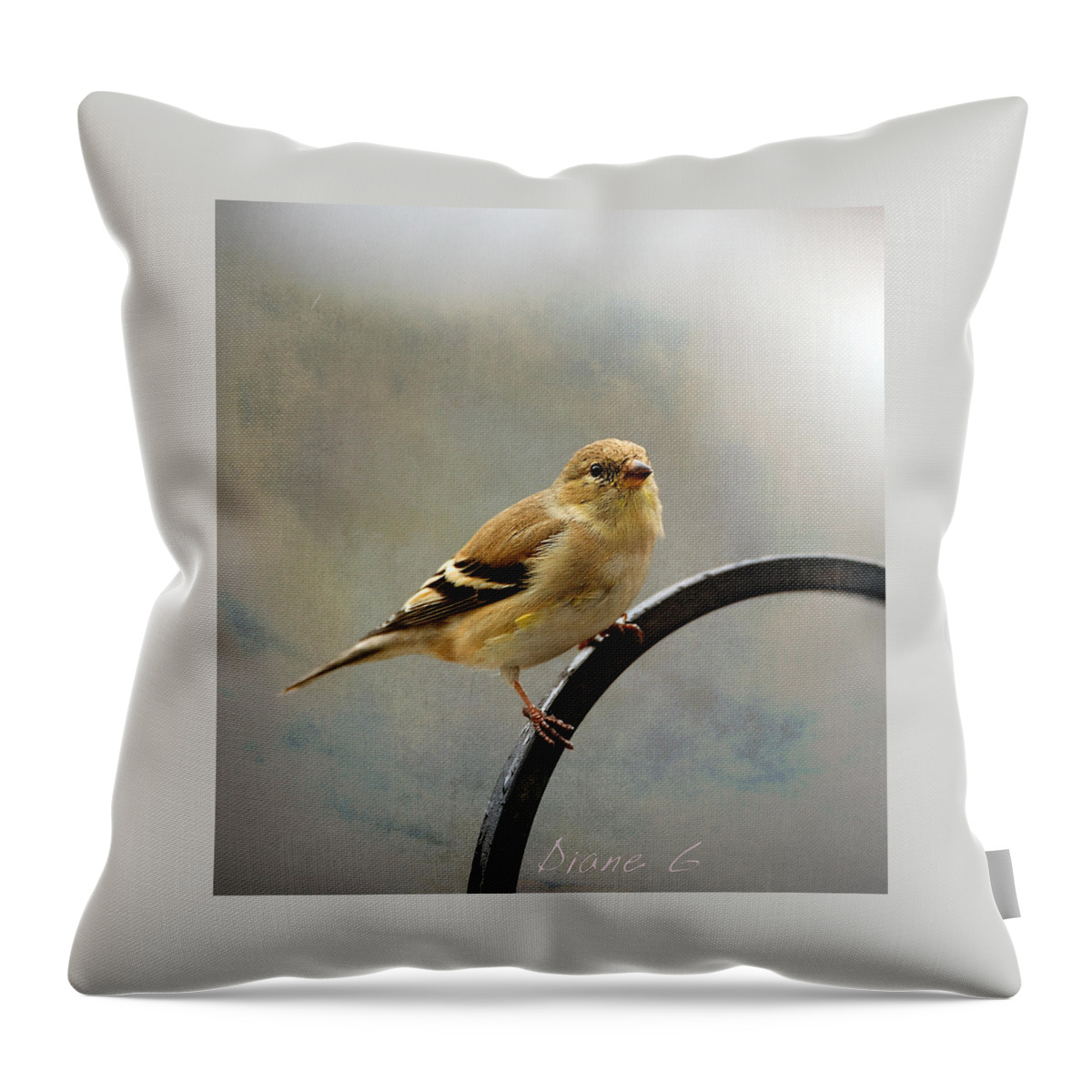 American Goldfinch Throw Pillow featuring the photograph American Goldfinch by Diane Giurco