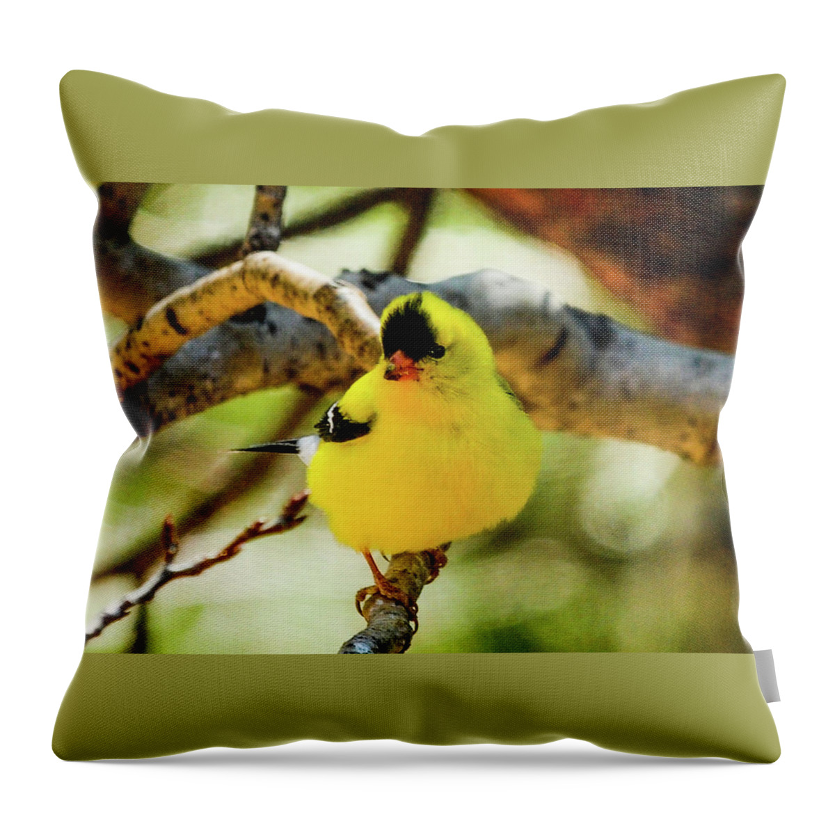 Colorado Throw Pillow featuring the photograph American Goldfinch by Marilyn Burton
