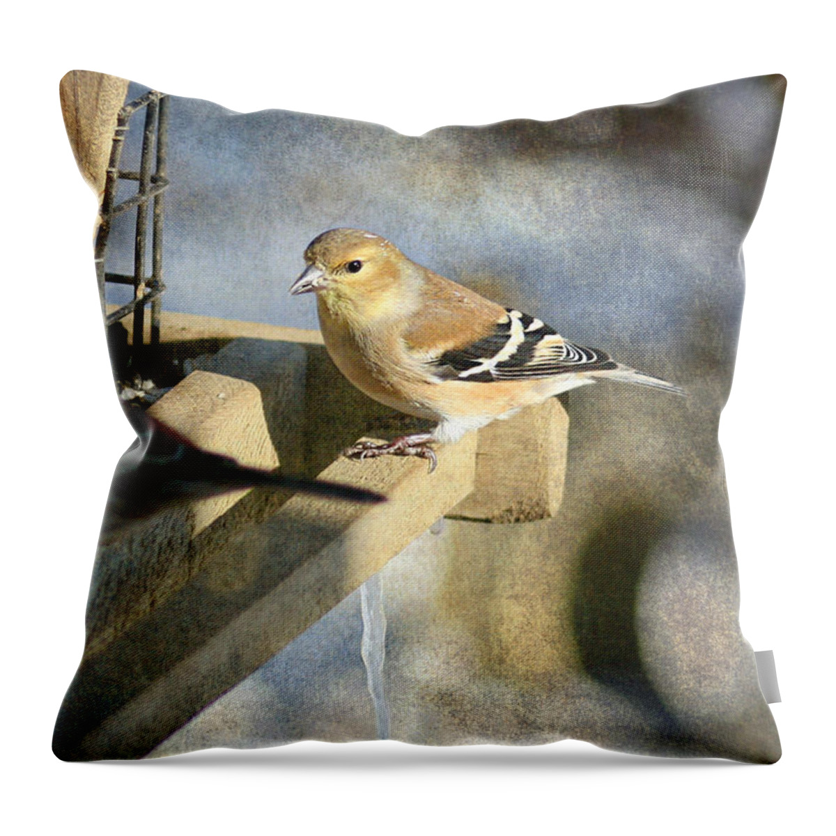 American Goldfinch Throw Pillow featuring the photograph American Goldfinch by Susan McMenamin