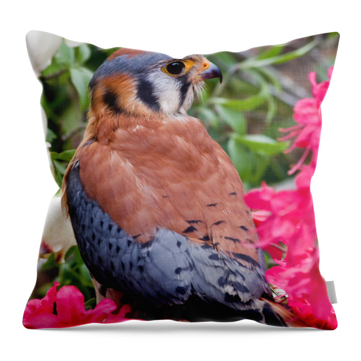 American Throw Pillow featuring the photograph American Kestrel in the Azaleas by Jill Lang