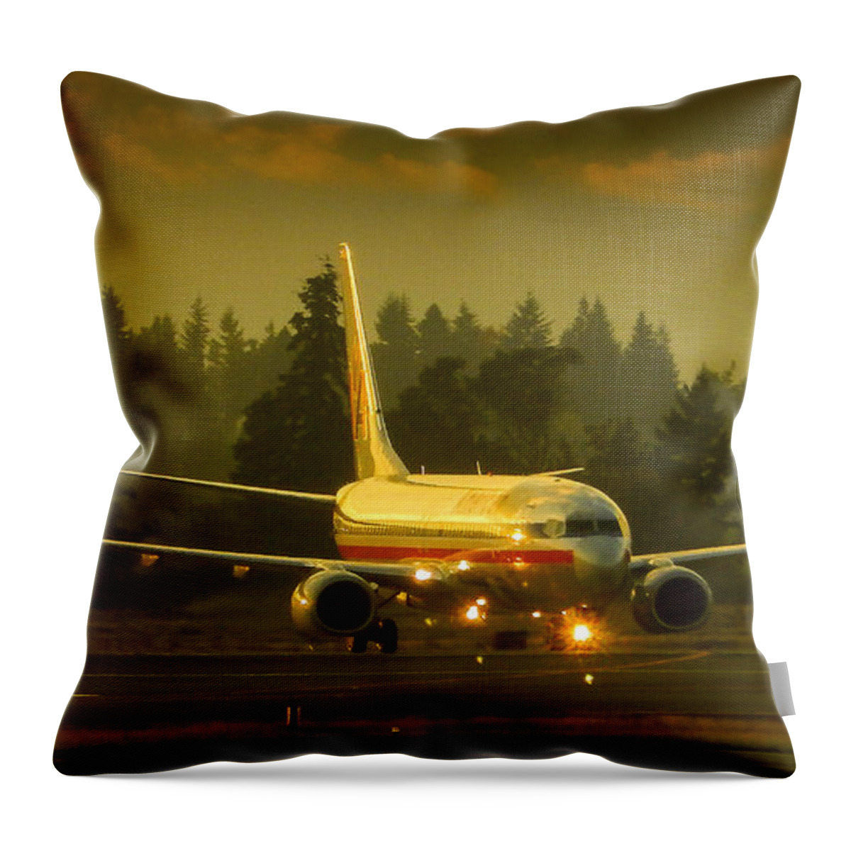 American Throw Pillow featuring the photograph American Ready For Take-Off by Phil And Karen Rispin