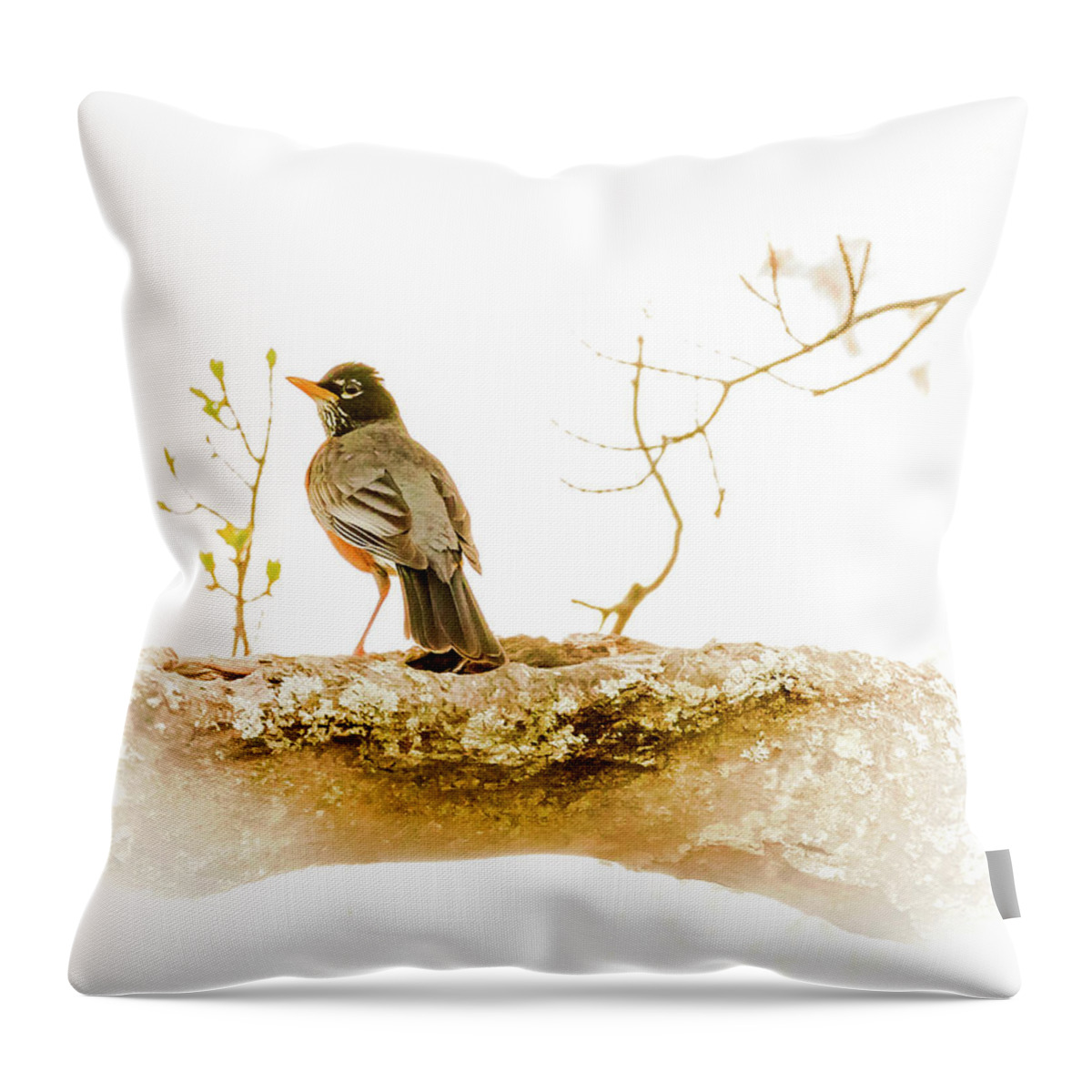 Wild Bird Throw Pillow featuring the photograph American Robin in Spring by Brian Caldwell