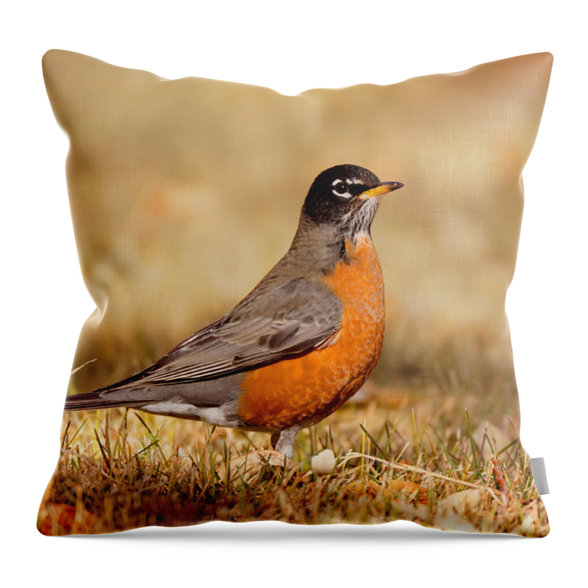 American Throw Pillow featuring the photograph American Robin by Ram Vasudev