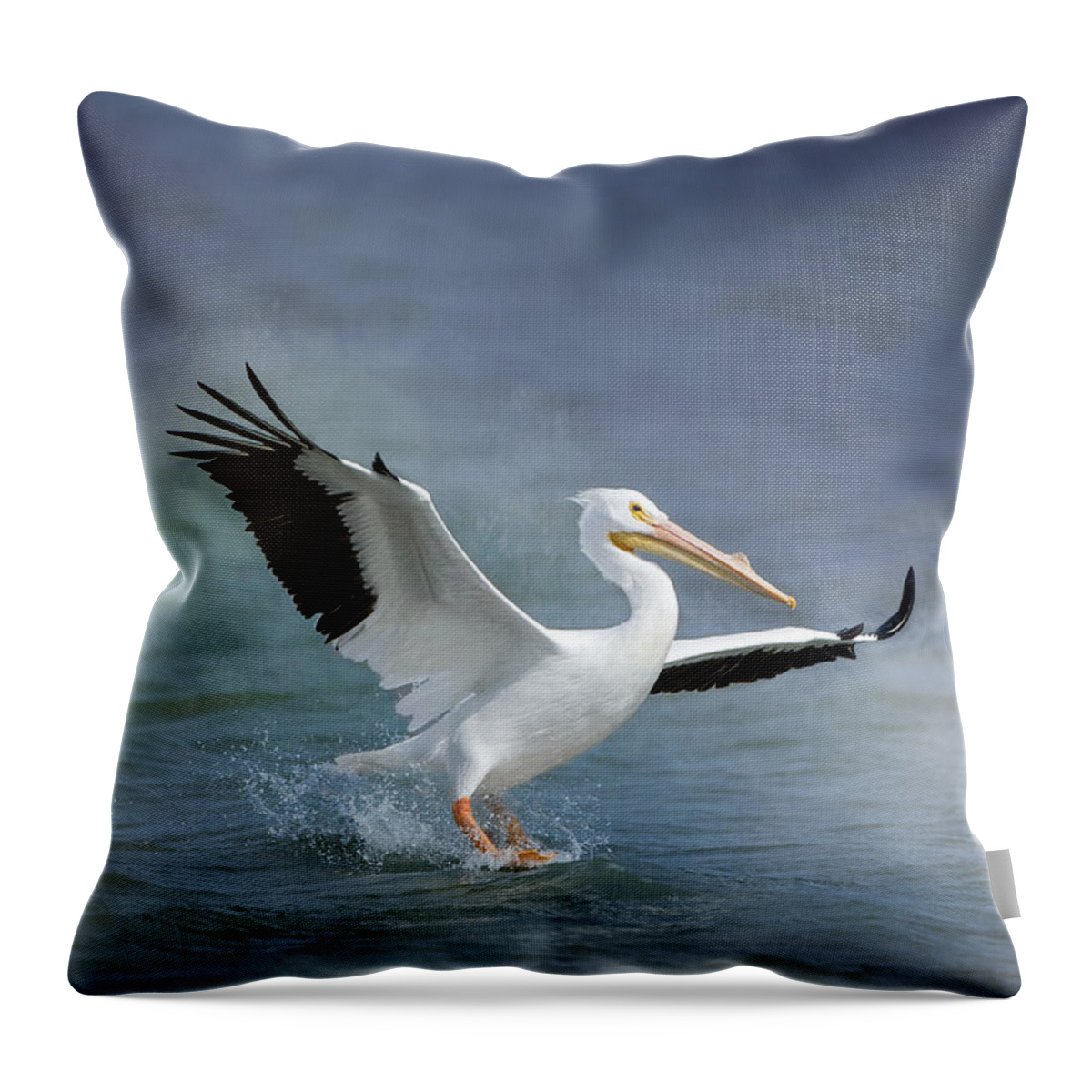 American White Pelican Throw Pillow featuring the photograph American White Pelican by Bonnie Barry