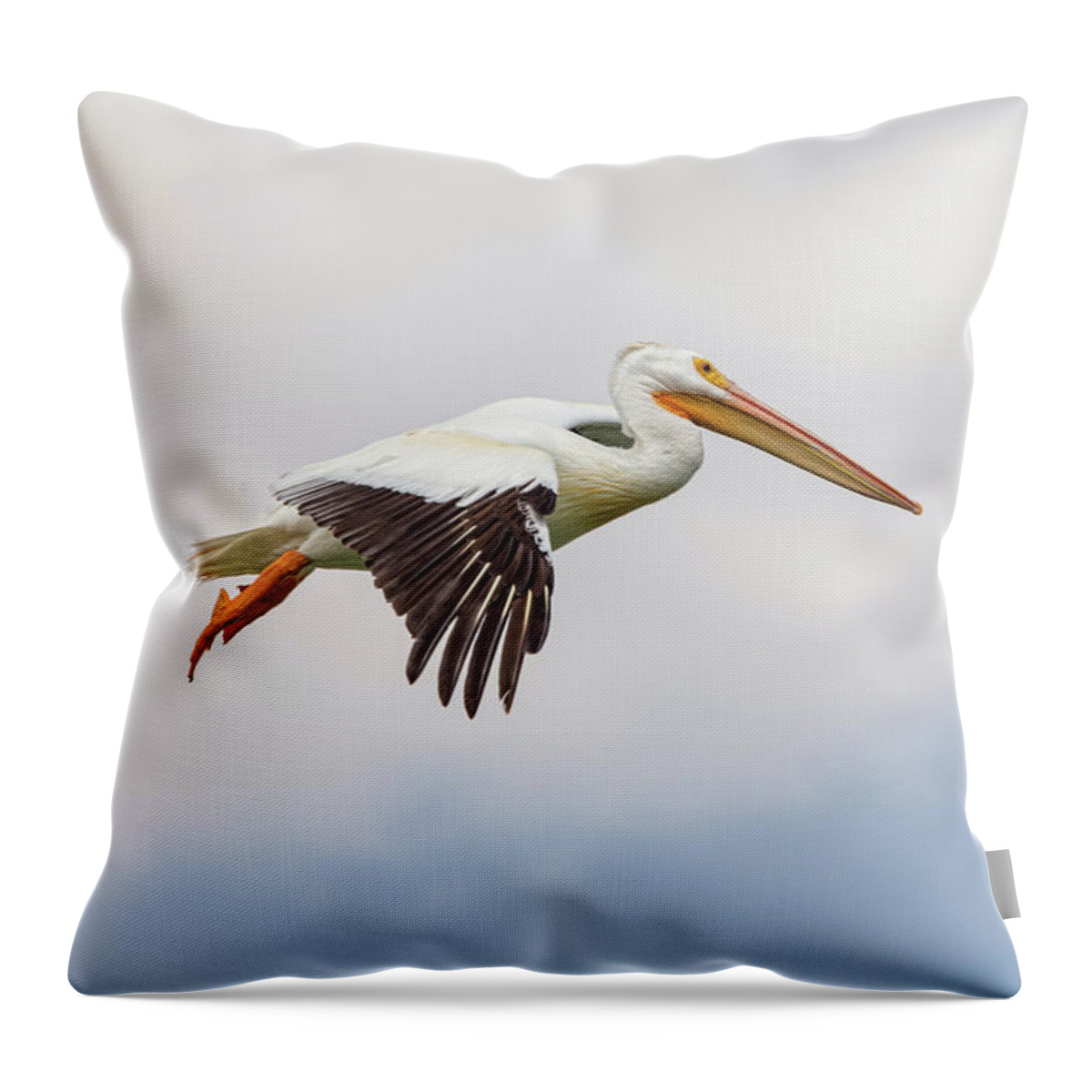Pelican Throw Pillow featuring the photograph American White Pelican Cruising by James BO Insogna