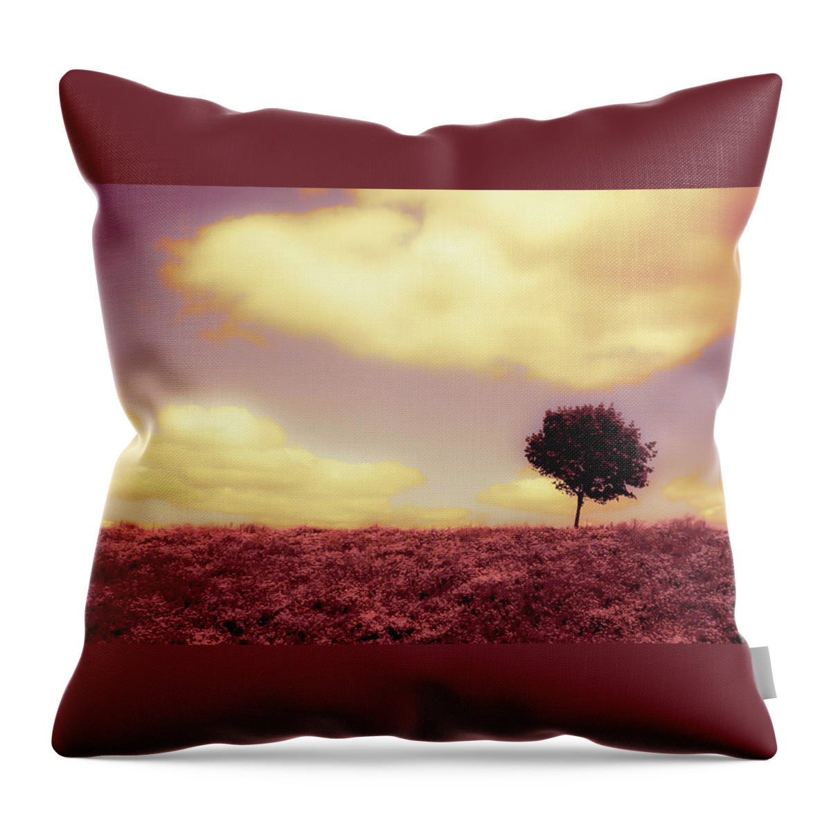 Yellow Clouds Throw Pillow featuring the photograph Amethyst Skies by Karl Anderson
