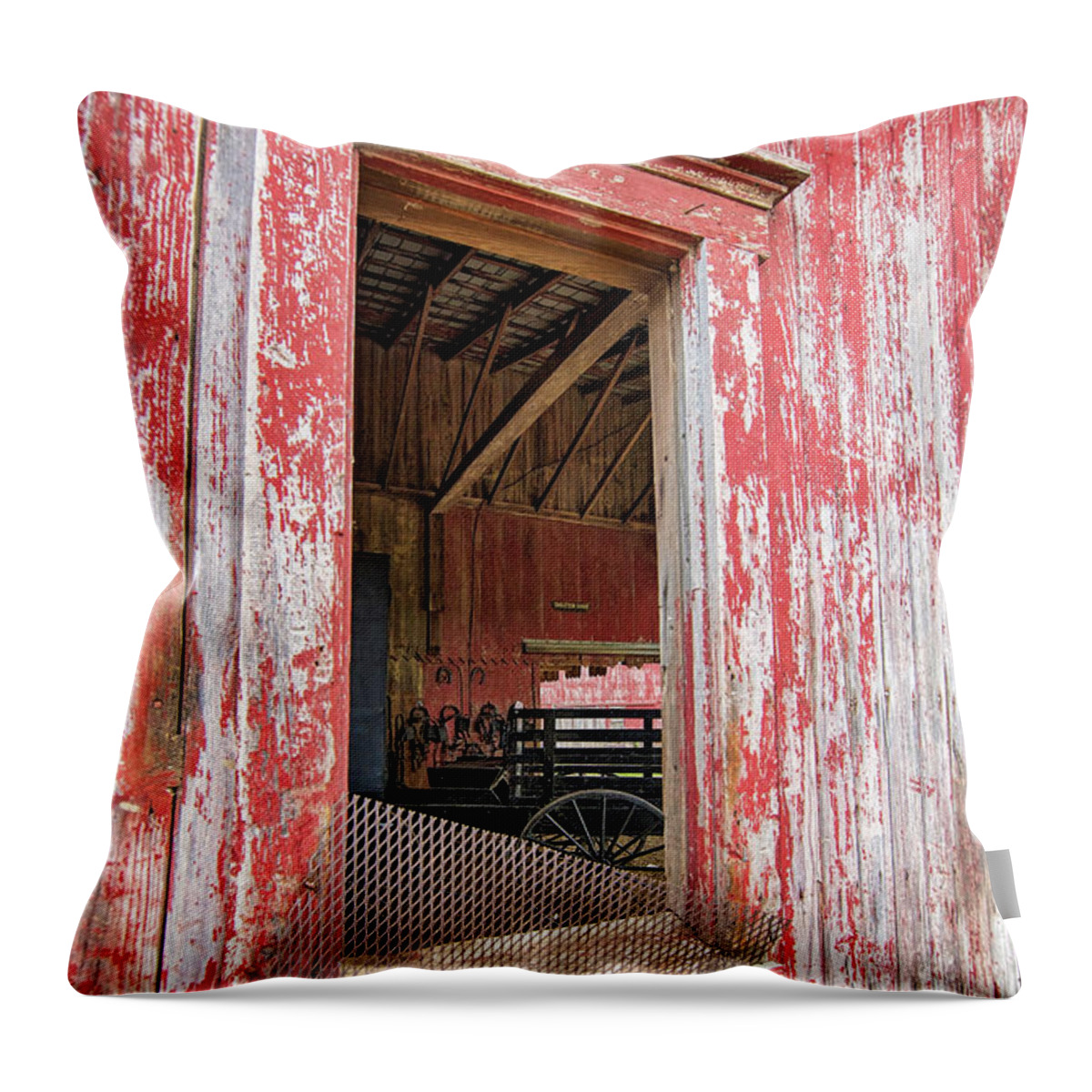 Amish Throw Pillow featuring the photograph Amish Buggy by Deborah Penland