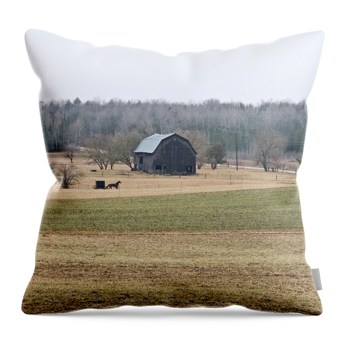 Amish Throw Pillow featuring the photograph Amish Country 0754 by Michael Peychich