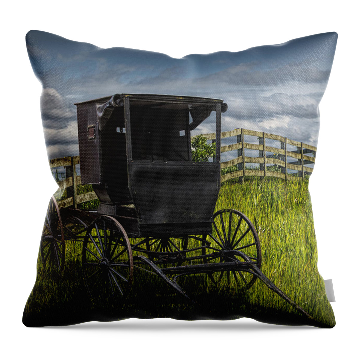 Amish Throw Pillow featuring the photograph Amish Horse Buggy by Randall Nyhof