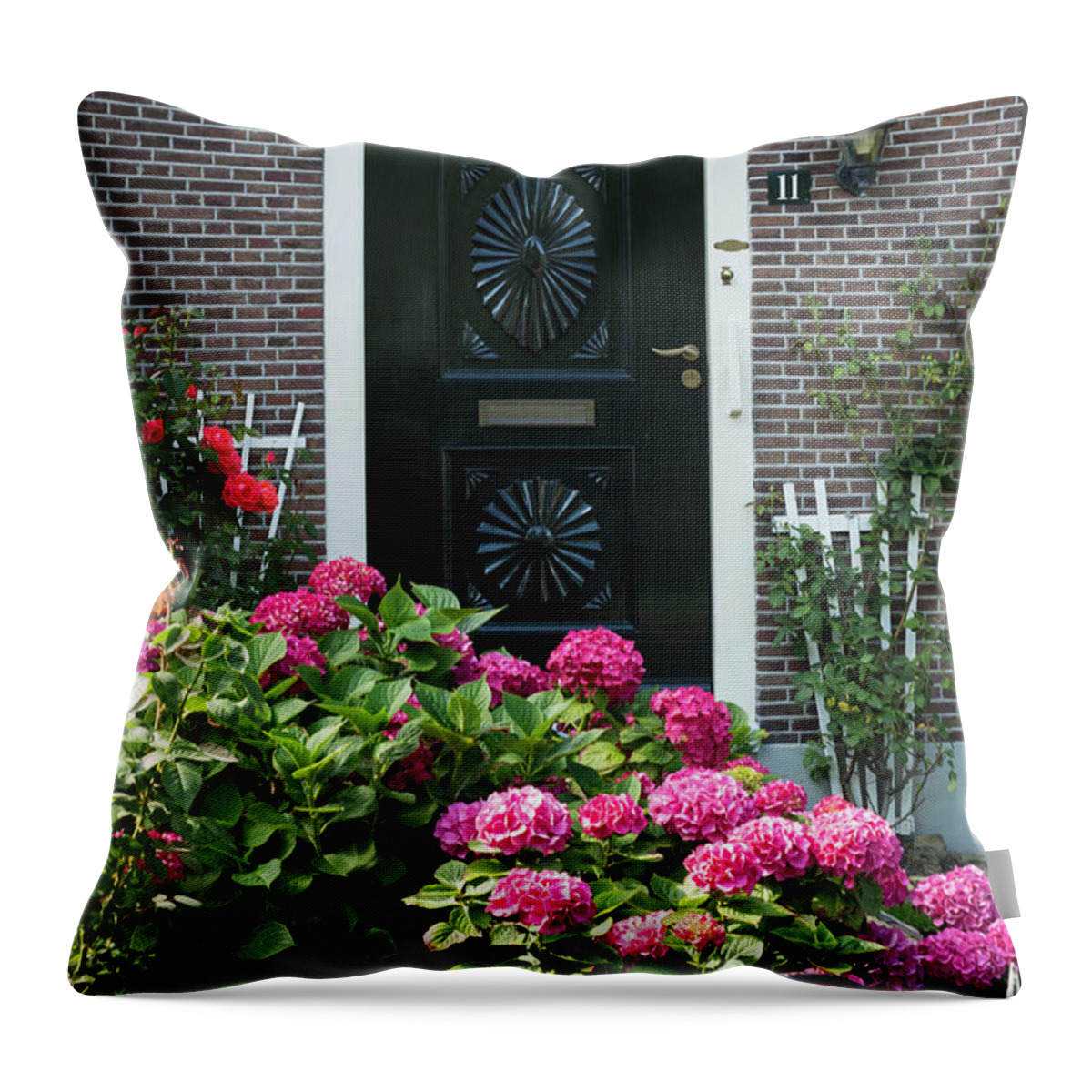 Amsterdam Throw Pillow featuring the photograph Amsterdam Entry by Rebekah Zivicki