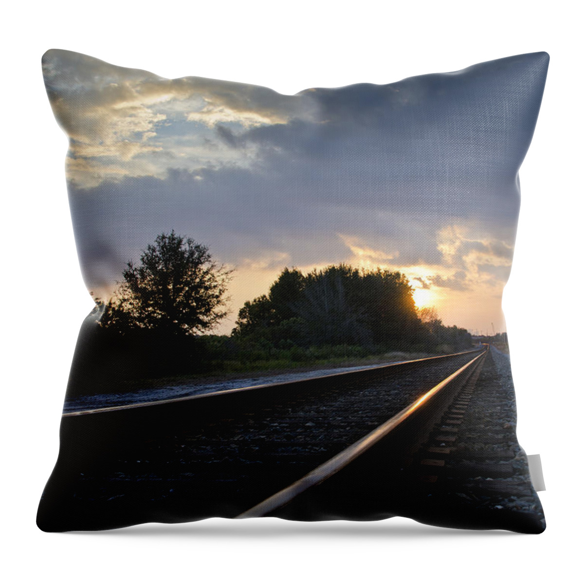 Train Throw Pillow featuring the photograph Amtrak Railroad System by Carolyn Marshall