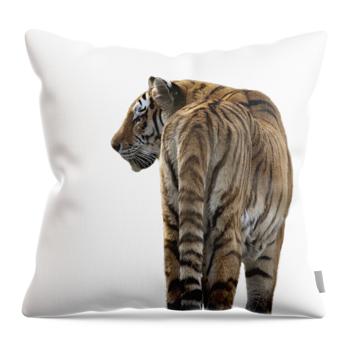 T-shirt Throw Pillow featuring the photograph Amur Tiger on Transparent background by Terri Waters