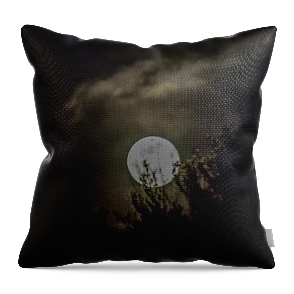  Throw Pillow featuring the photograph Amy Blue Moon by Brian MacLean