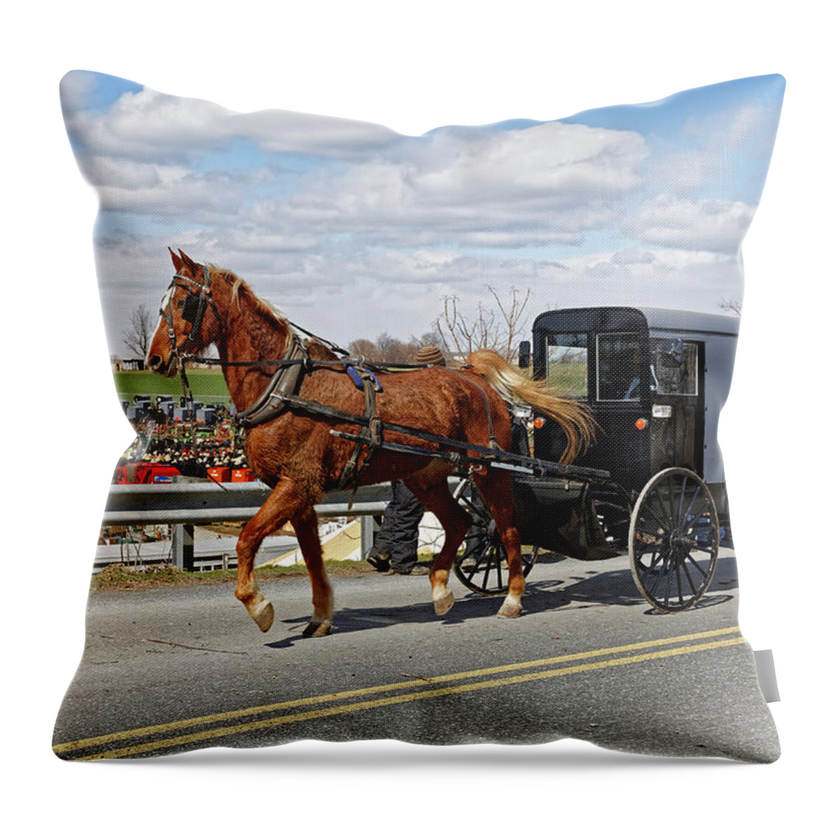 Amish Throw Pillow featuring the photograph An Amish carriage in Lancaster County, Pennsylvania by Delmas Lehman