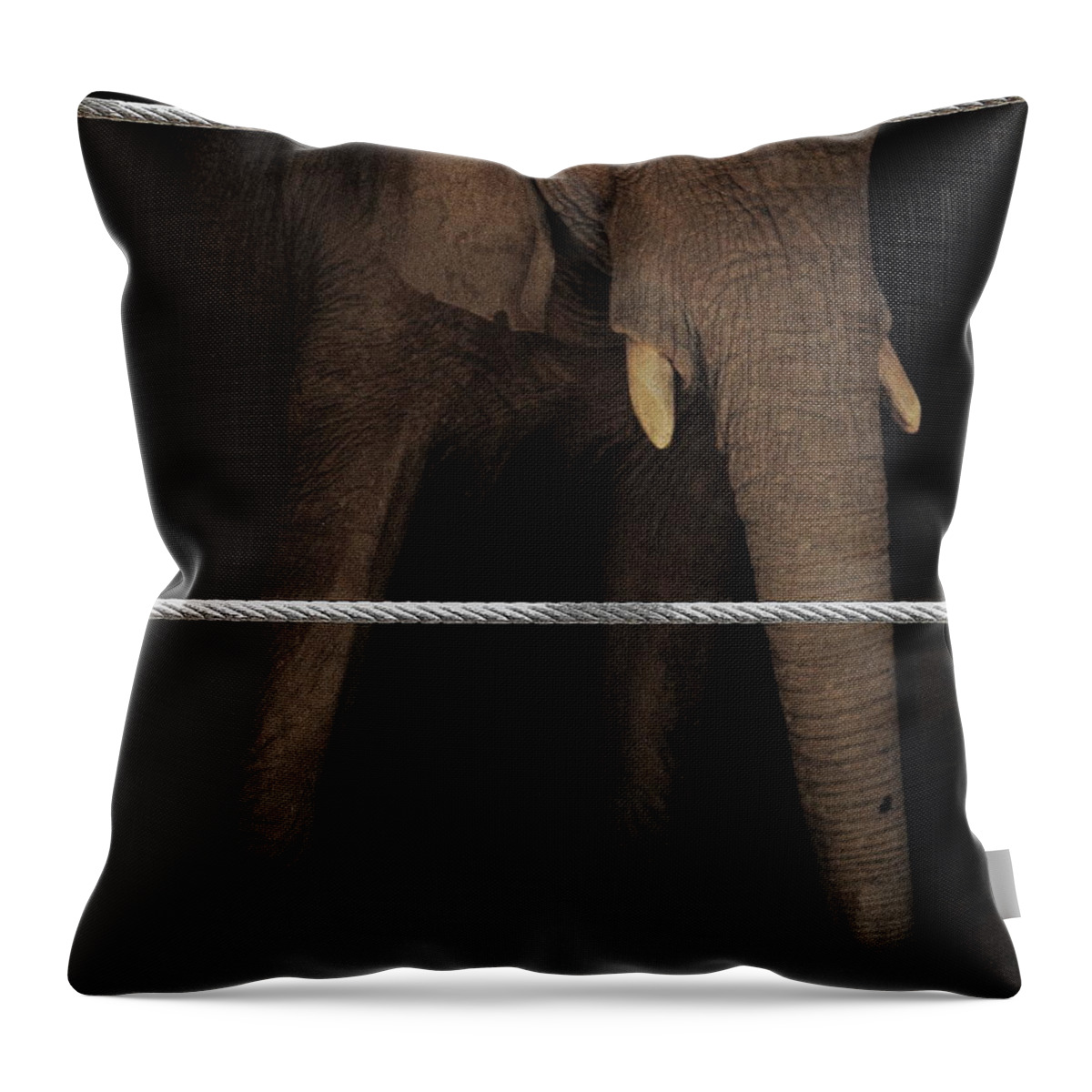 Elephants Throw Pillow featuring the photograph An Apology to Elephants by Jeff Heimlich