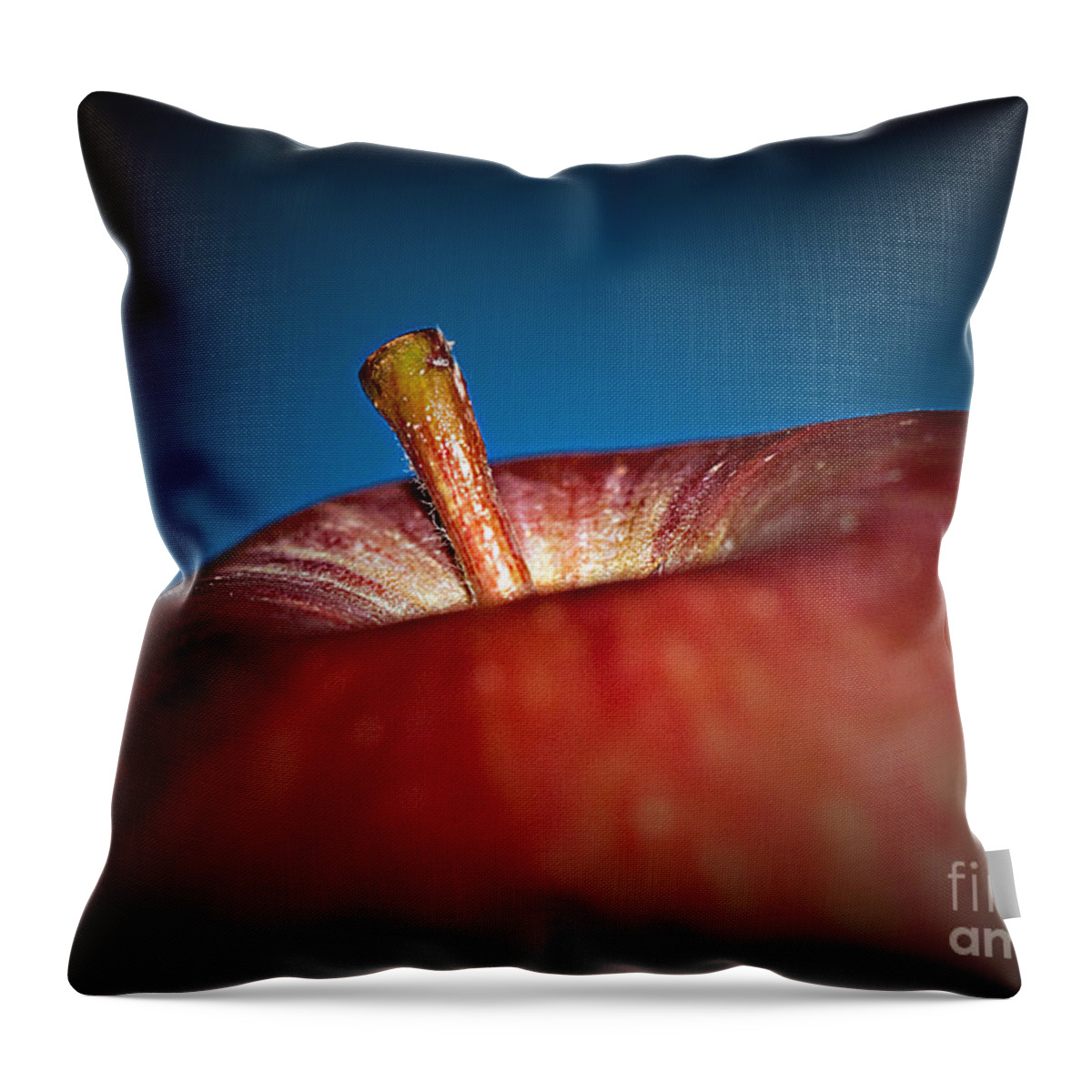 Fruit Throw Pillow featuring the photograph An Apple a Day by Sherry Hallemeier