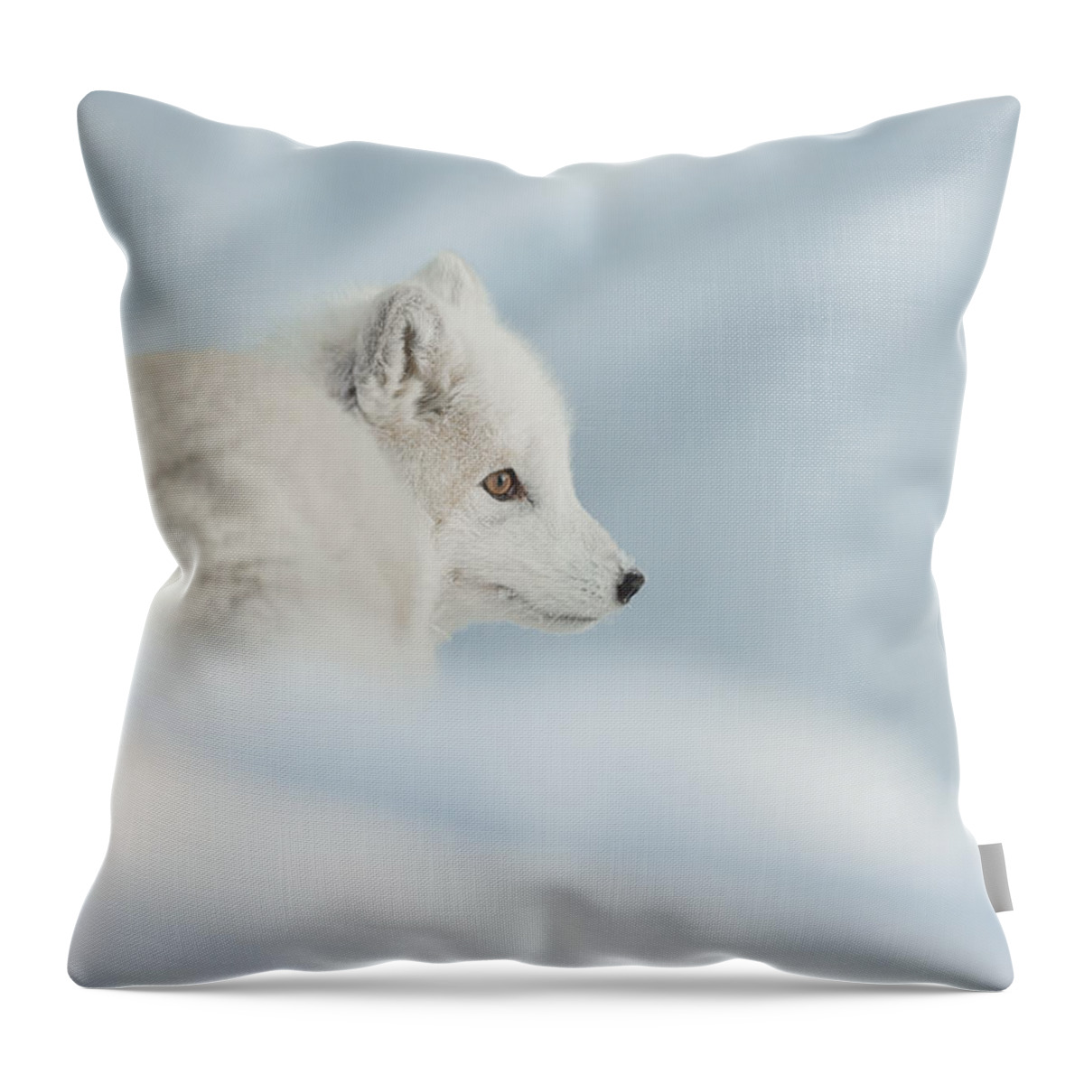 Arctic Throw Pillow featuring the photograph An Arctic Fox in Snow. by Andy Astbury