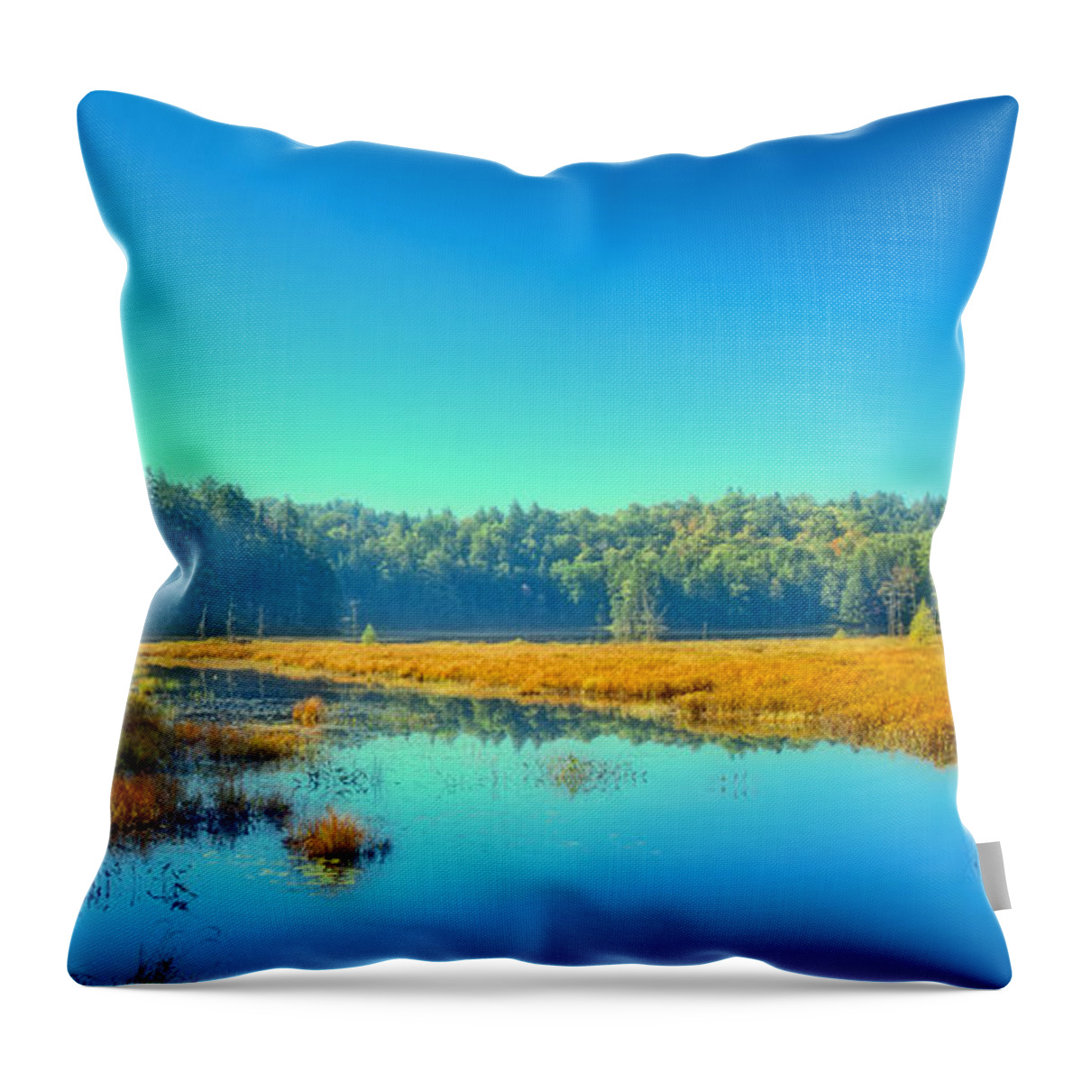 An Autumn Morning At Cary Lake Throw Pillow featuring the photograph An Autumn Morning at Cary Lake by David Patterson