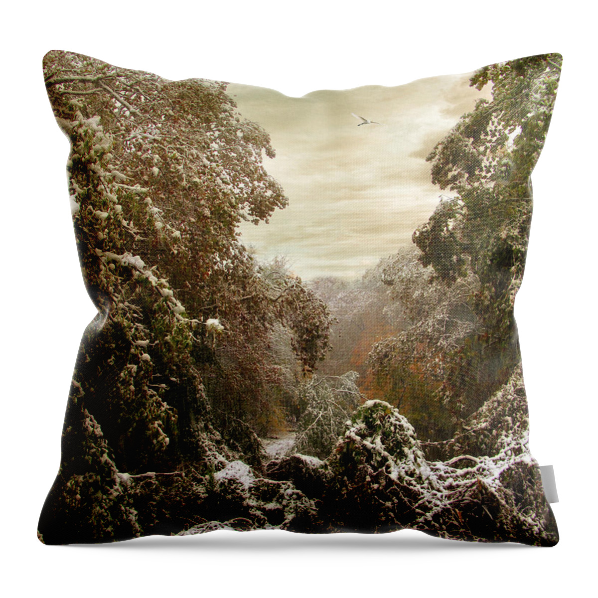 Winter Throw Pillow featuring the photograph An Early Snow by Jessica Jenney
