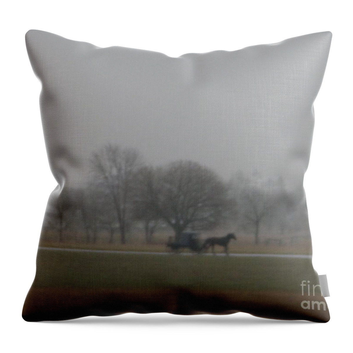 Amish Throw Pillow featuring the photograph An Evening Buggy Ride by Christine Clark