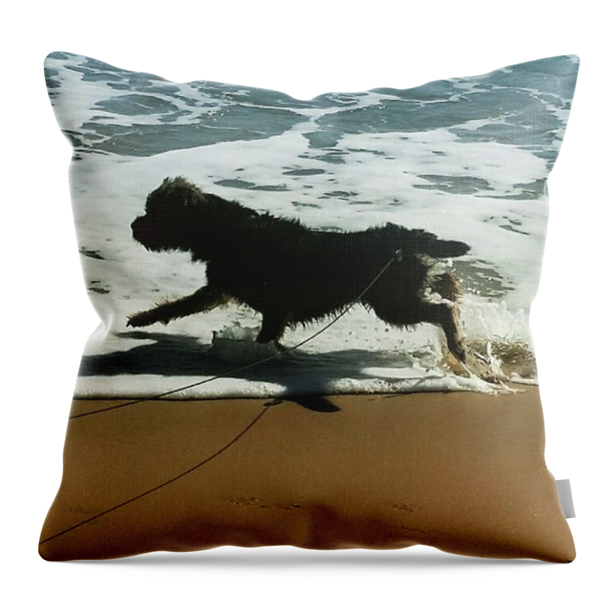 Dog Throw Pillow featuring the photograph Seaside Frolics by Rowena Tutty