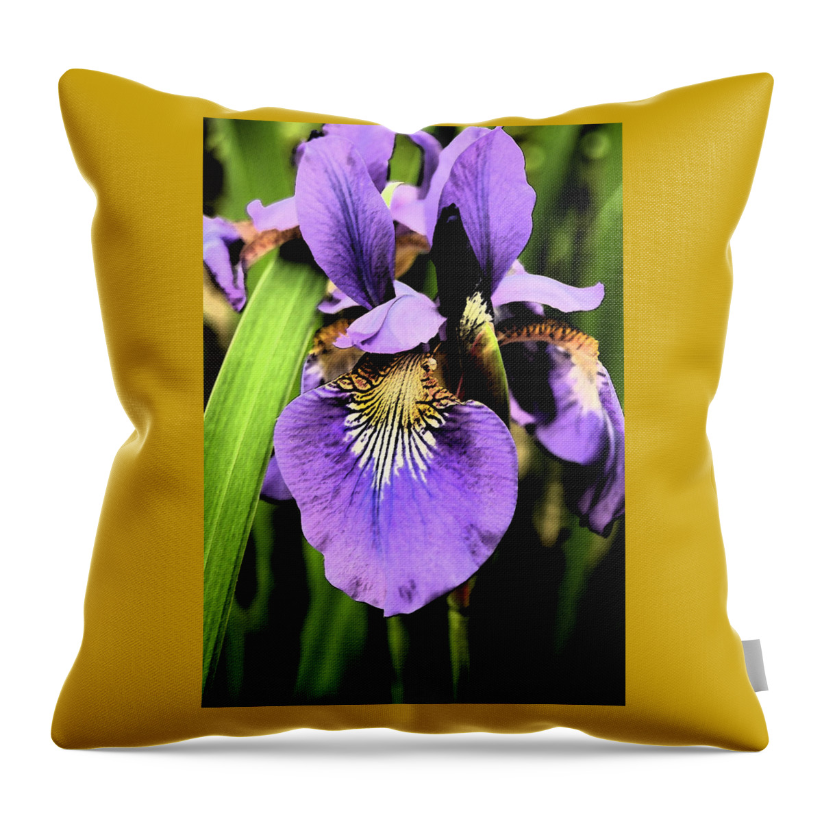 Iris Throw Pillow featuring the photograph An Iris Portrait - Botanical by Margie Avellino