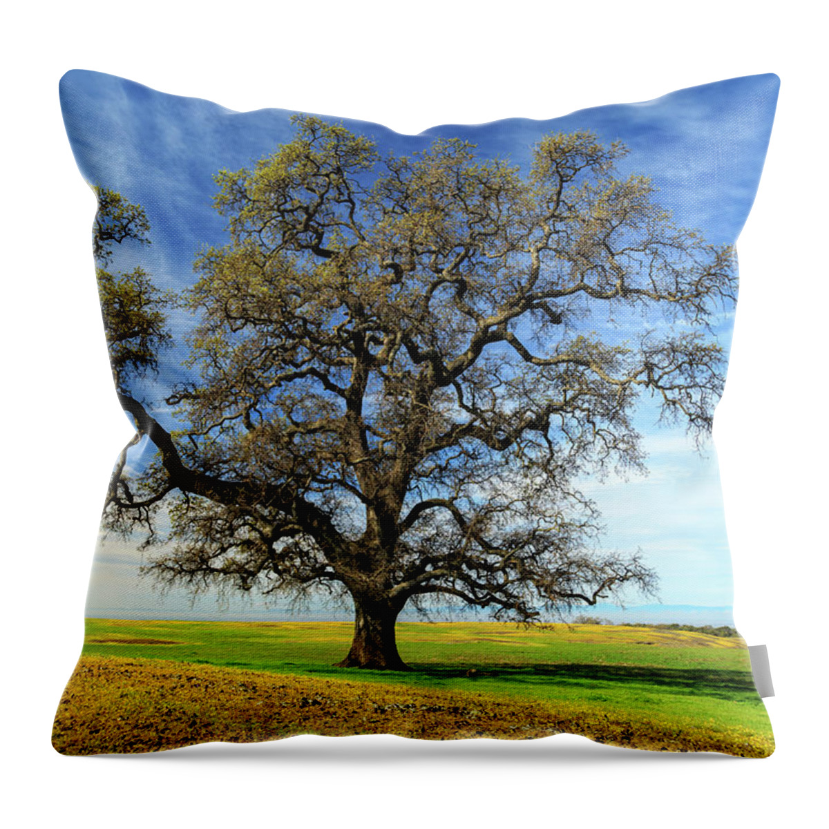 Oak Throw Pillow featuring the photograph An Oak In Spring by James Eddy