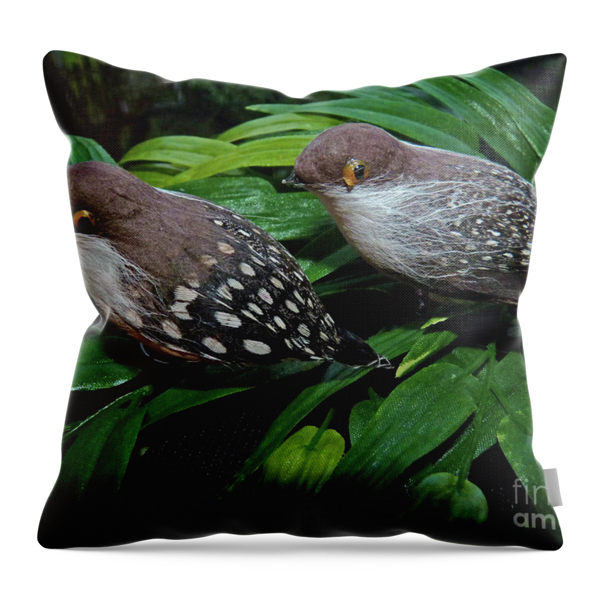 Couple Throw Pillow featuring the photograph An old couple these two birds by Eva-Maria Di Bella