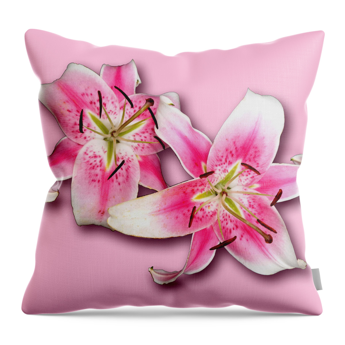 Lilies Throw Pillow featuring the photograph Anastasia Lilies on Pink by Tara Hutton