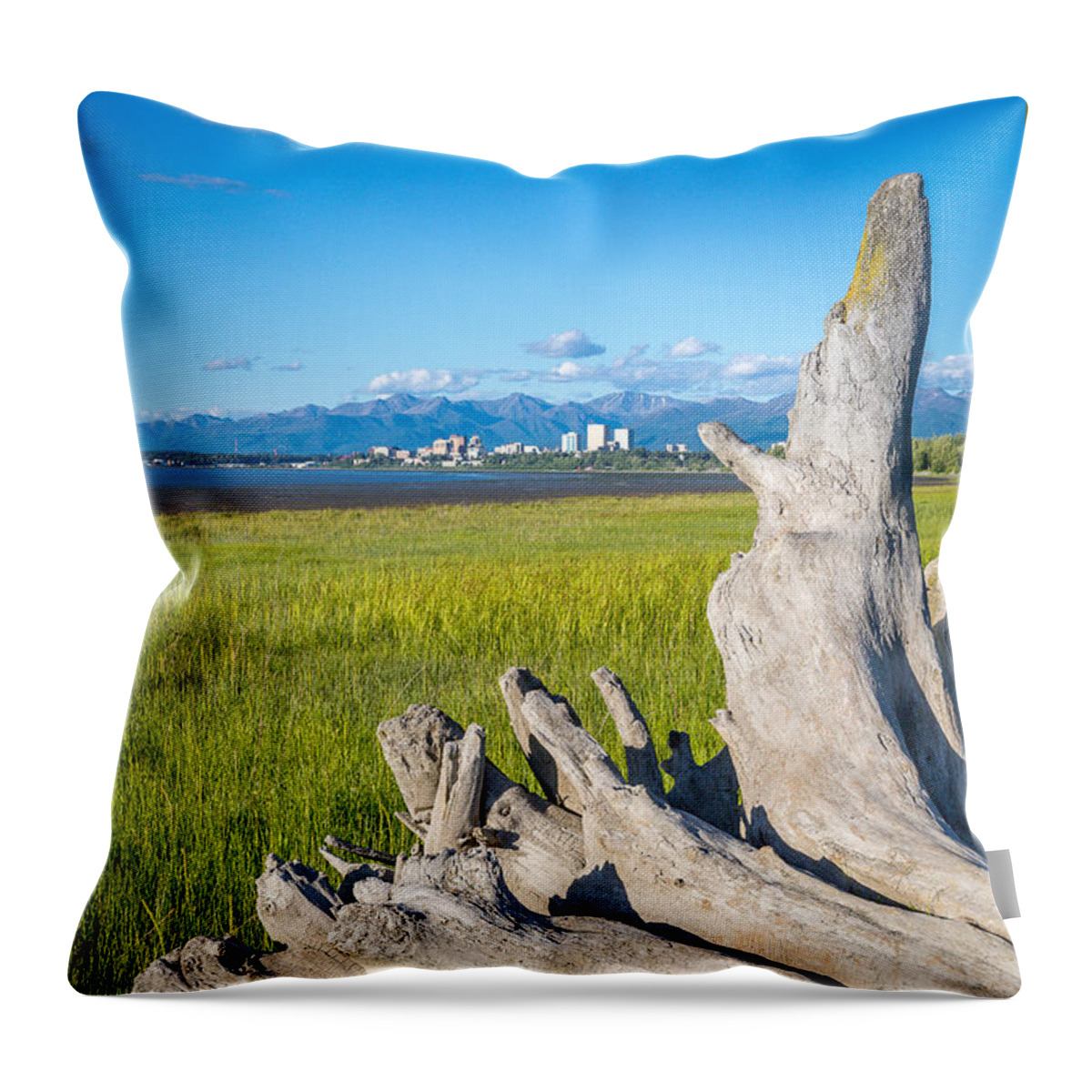 Anchorage Throw Pillow featuring the photograph Anchorage Summer by Tim Newton