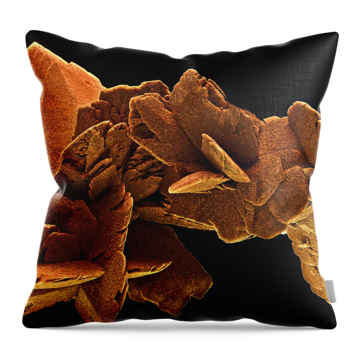 Mineral Throw Pillow featuring the photograph Ancient History by Lynda Lehmann