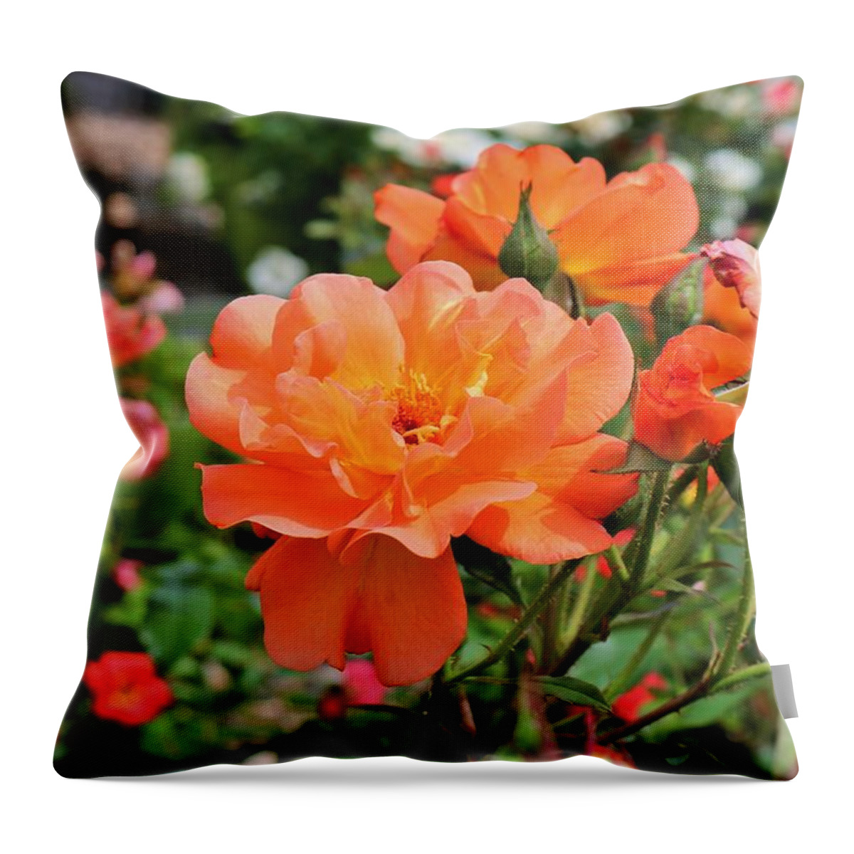 Orange Throw Pillow featuring the photograph And So It Shall Be by Michiale Schneider