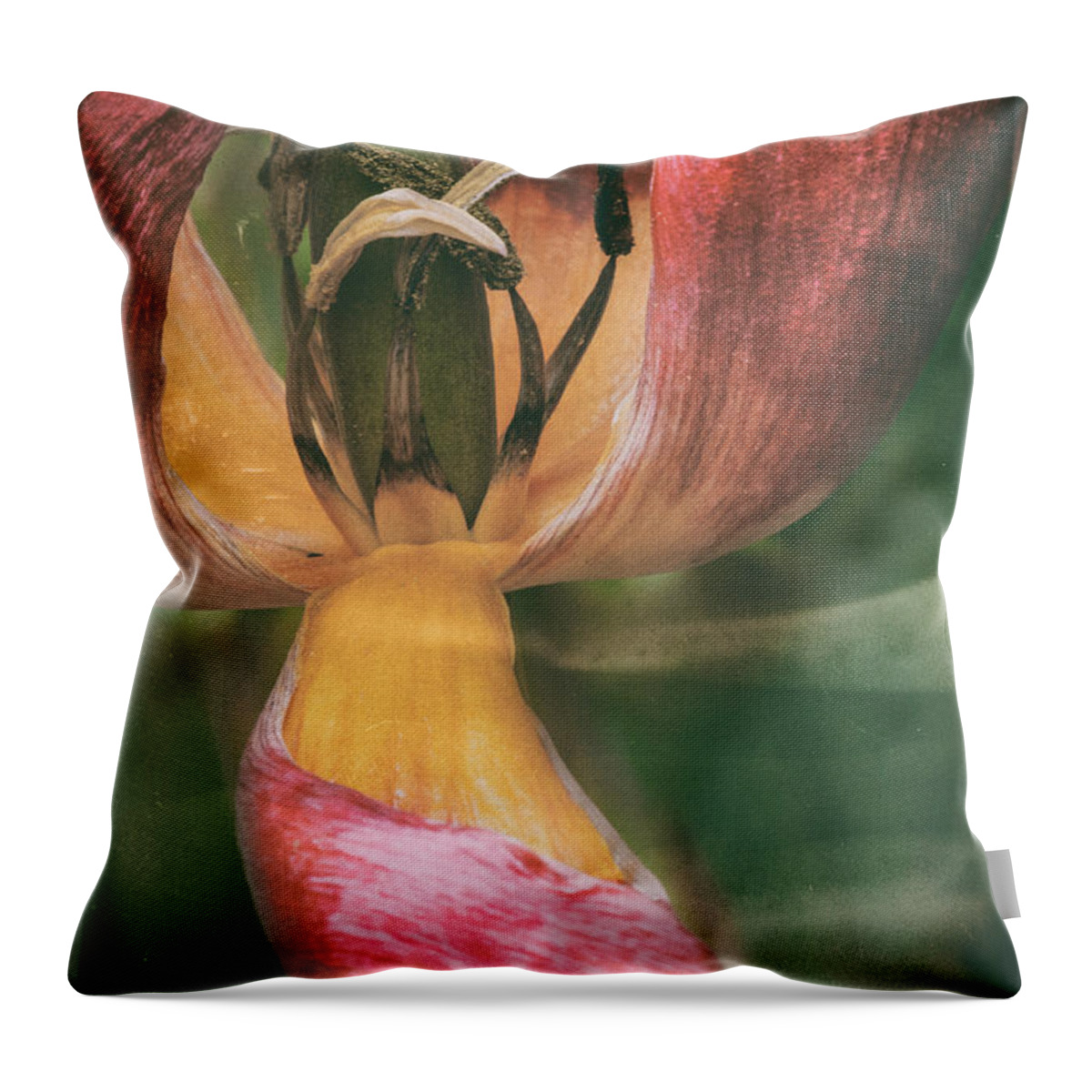 Flower Throw Pillow featuring the digital art And You Are Who by Paul Vitko