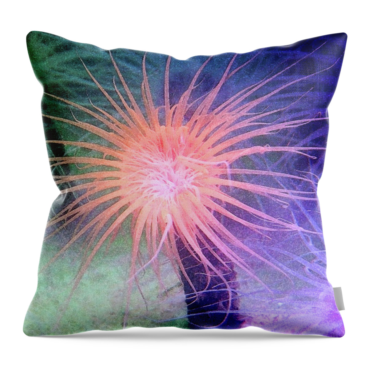 Color Throw Pillow featuring the photograph Anemone Color by Anthony Jones