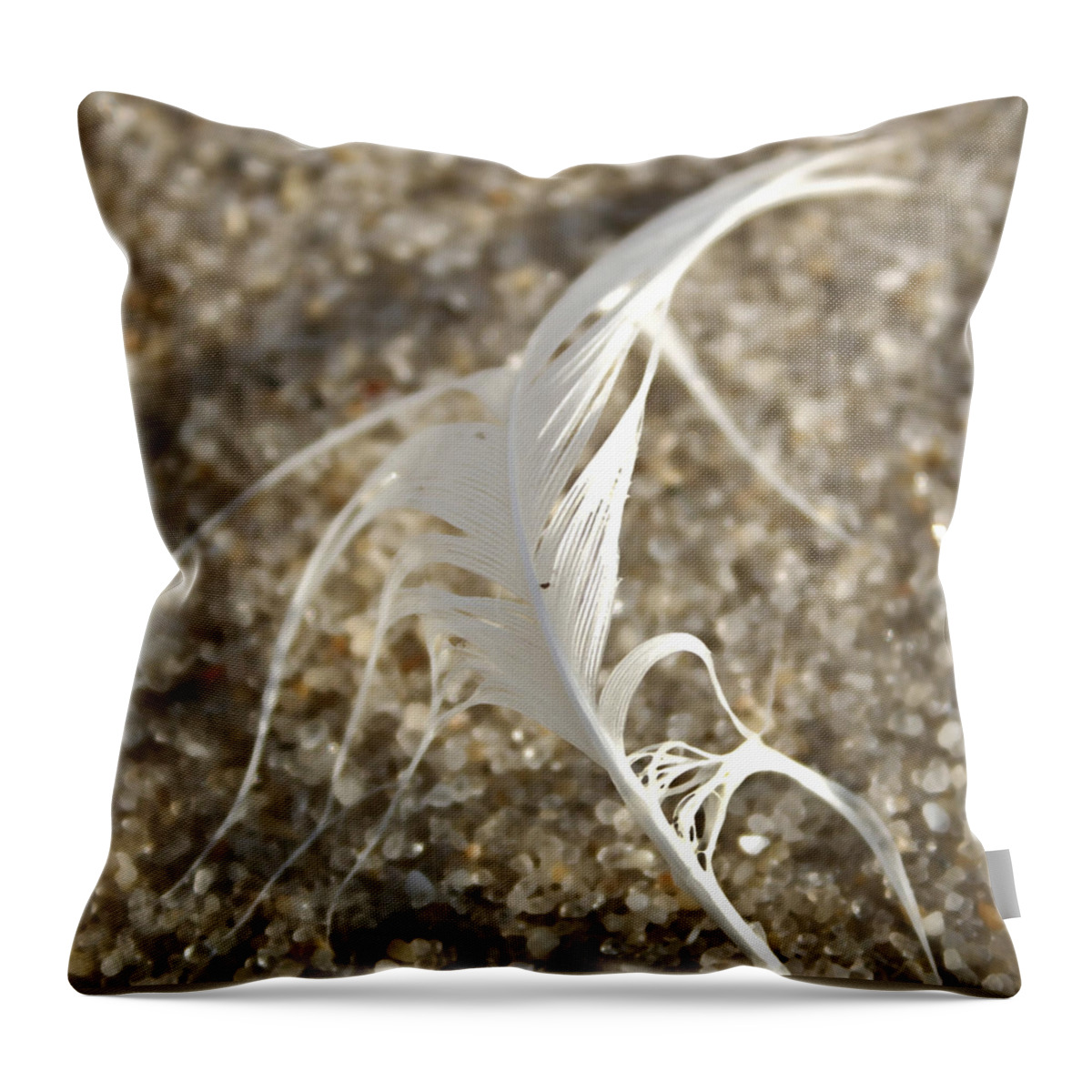 Seascape Throw Pillow featuring the photograph Angel Feather by Mary Haber